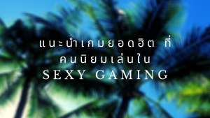 แนะนำเกมยอดฮิต ที่คนนิยมเล่นใน sexy gaming